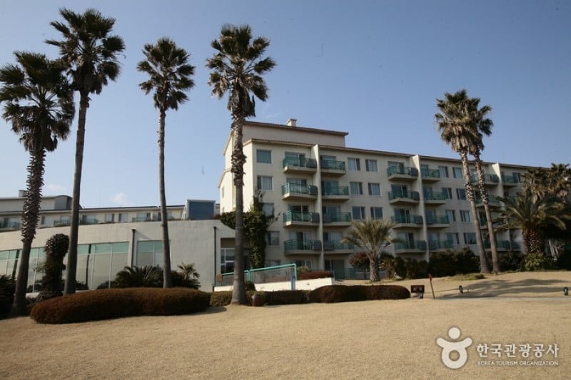 KENSINGTON RESORT (1/30)