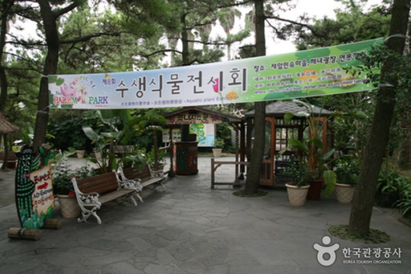 済州翰林公園トルハルバン (4/10)