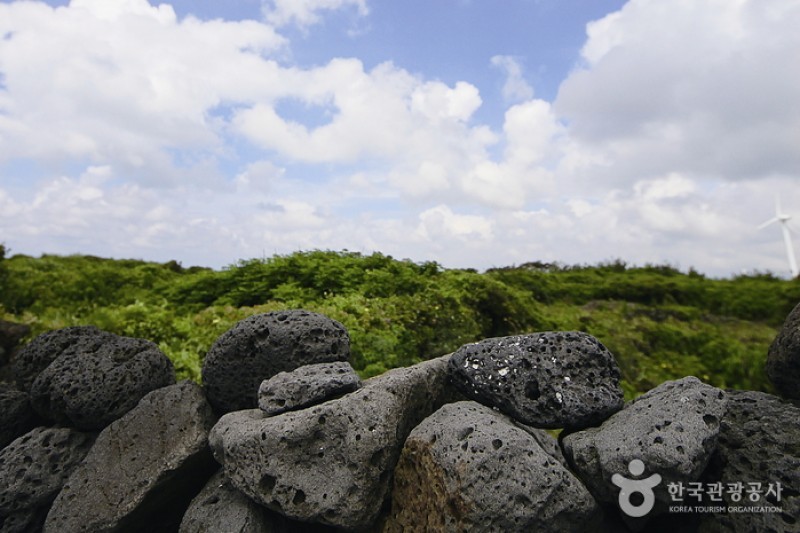 済州島観光特区 (28/28)