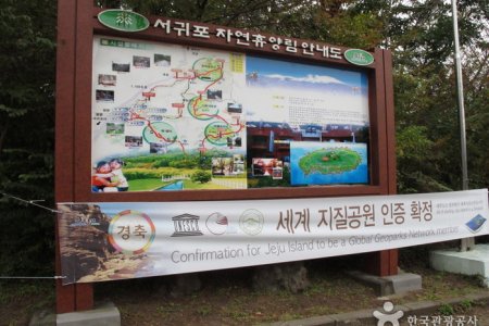 西帰浦自然休養林