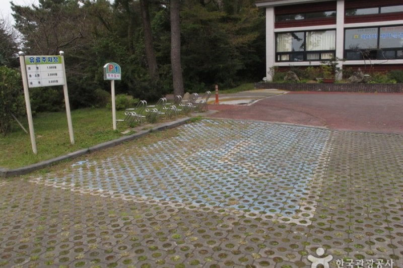 西帰浦自然休養林 (9/15)