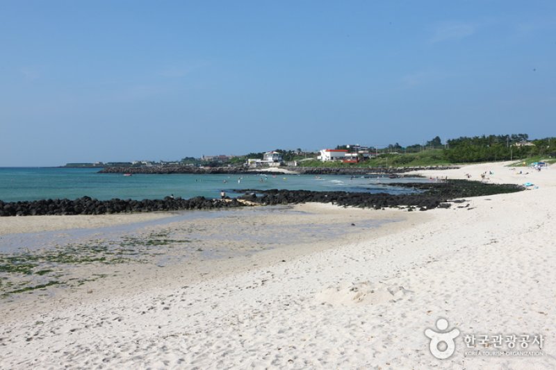 クァクチクァムル海岸（곽지과물해변） (10/19)