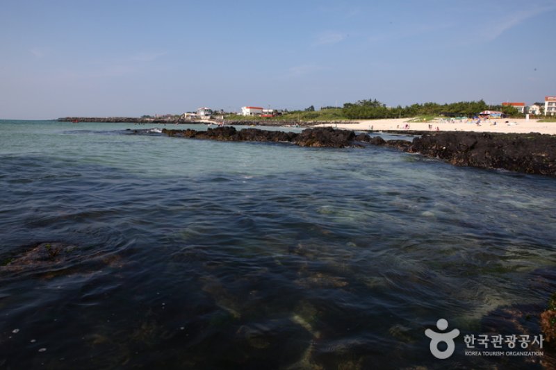 クァクチクァムル海岸（곽지과물해변） (12/19)