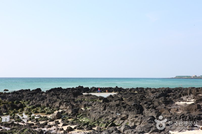 クァクチクァムル海岸（곽지과물해변） (13/19)