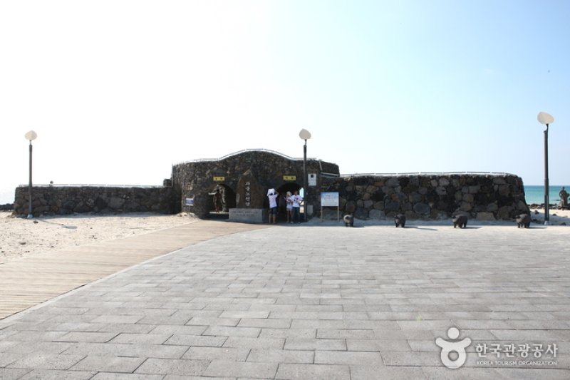 クァクチクァムル海岸（곽지과물해변） (15/19)