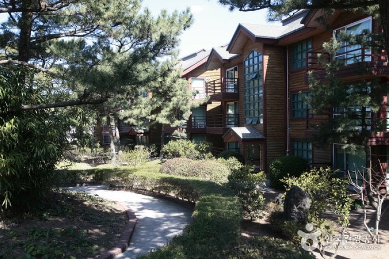 済州 金剛山コンドミニアム（제주 금강산콘도） (2/11)