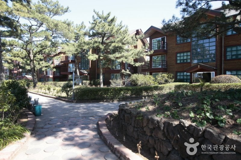 済州 金剛山コンドミニアム（제주 금강산콘도） (3/11)