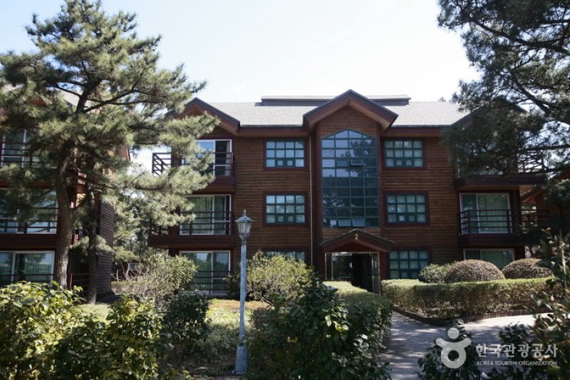 済州 金剛山コンドミニアム（제주 금강산콘도） (4/11)