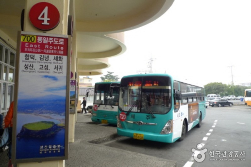 済州市外バスターミナル (3/3)