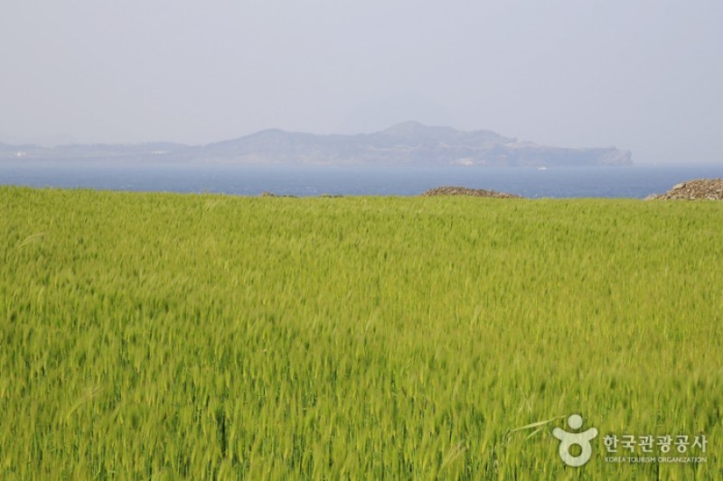 松岳山 (6/6)