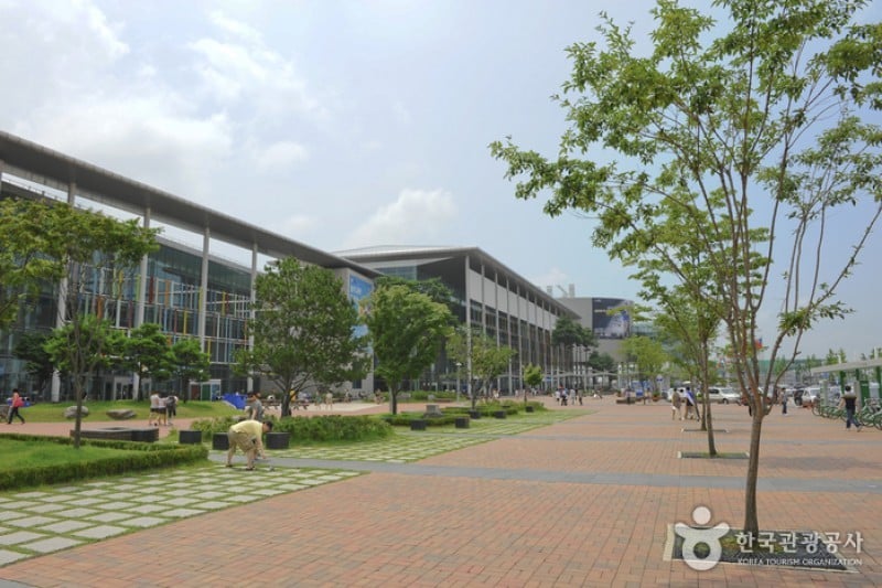 KINTEX(キンテックス) (6/6)