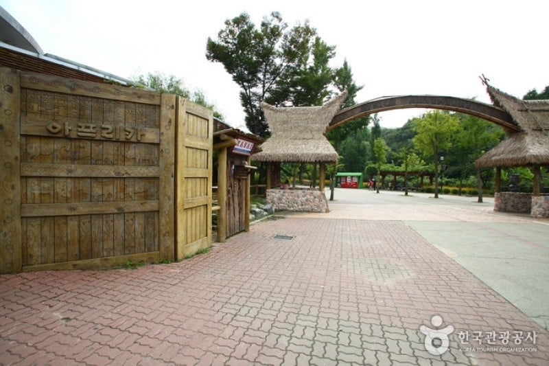 ソウル大公園（ソウル動物園） (14/58)