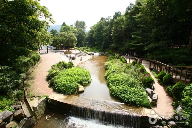 ソウル大公園（ソウル動物園） (15/58)