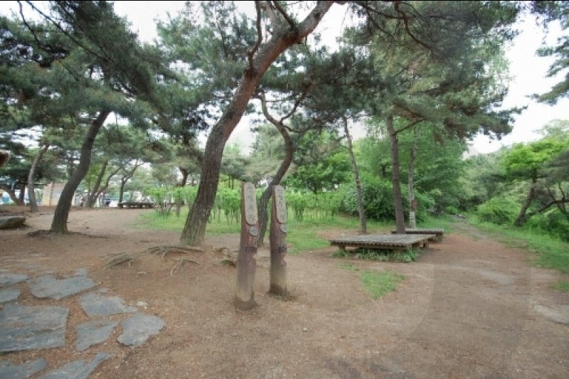 ソウル大公園（ソウル動物園） (19/58)