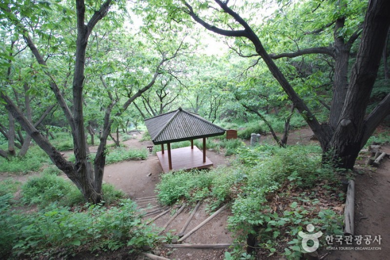 ソウル大公園（ソウル動物園） (24/58)