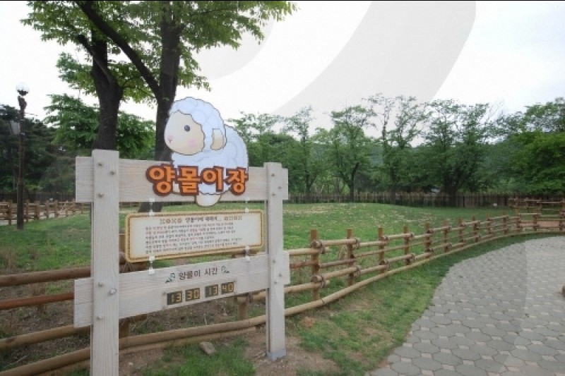 ソウル大公園（ソウル動物園） (27/58)