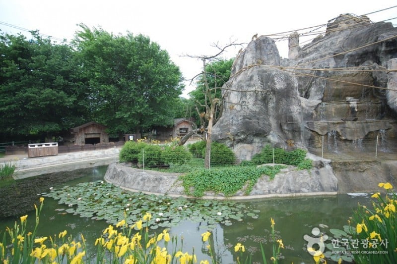ソウル大公園（ソウル動物園） (29/58)