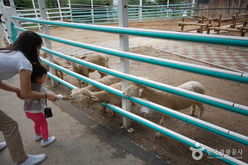 ソウル大公園（ソウル動物園） (32/58)
