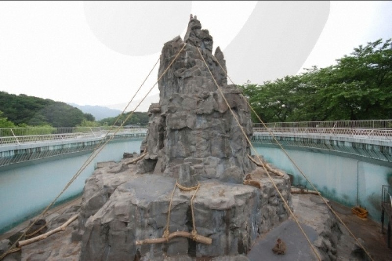 ソウル大公園（ソウル動物園） (36/58)
