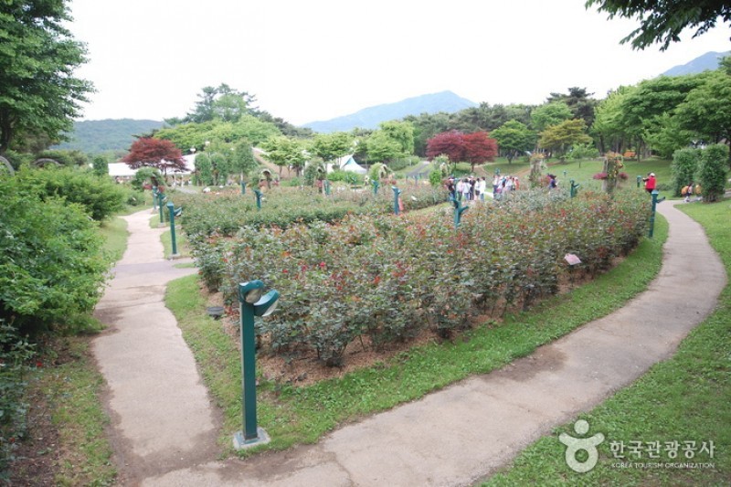 ソウル大公園（ソウル動物園） (45/58)
