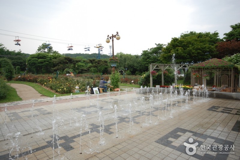 ソウル大公園（ソウル動物園） (47/58)