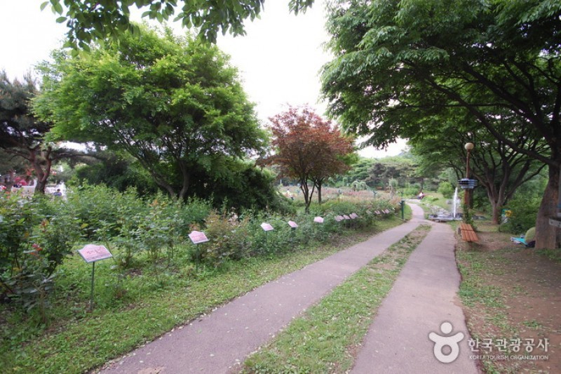 ソウル大公園（ソウル動物園） (49/58)