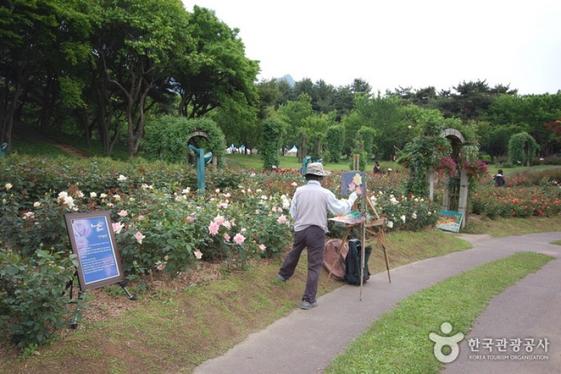 ソウル大公園（ソウル動物園） (51/58)