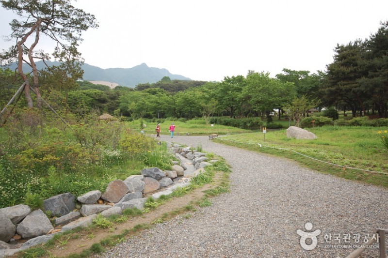 ソウル大公園（ソウル動物園） (52/58)