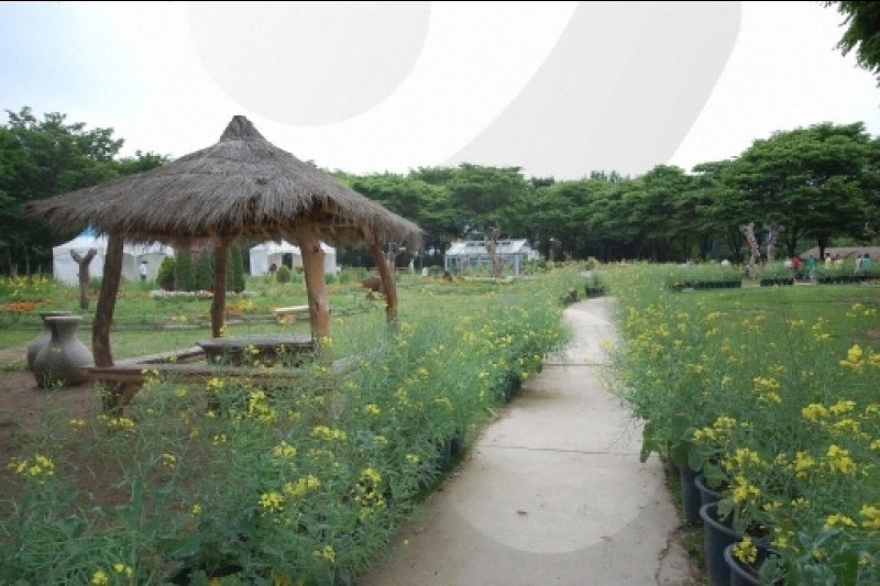 ソウル大公園（ソウル動物園） (53/58)