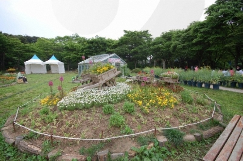 ソウル大公園（ソウル動物園） (55/58)