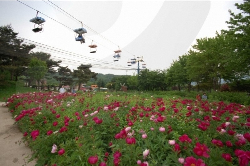 ソウル大公園（ソウル動物園） (57/58)