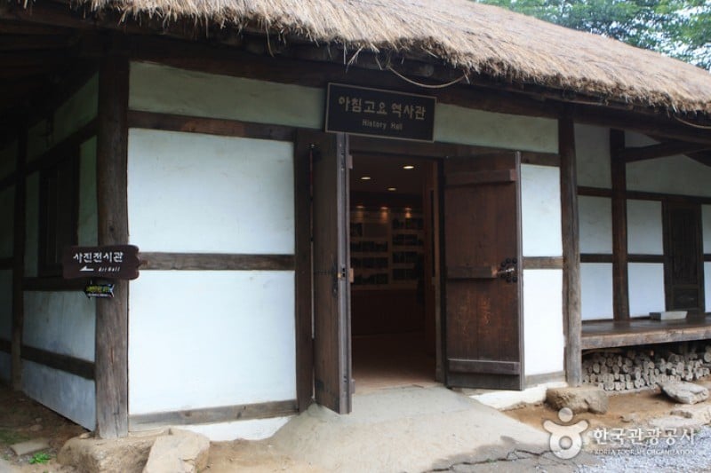 アチムゴヨ樹木園 (4/54)