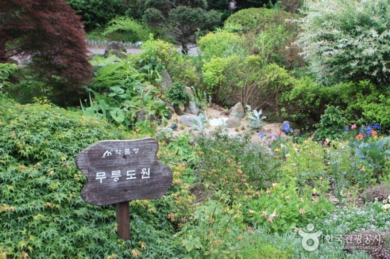 アチムゴヨ樹木園 (43/54)