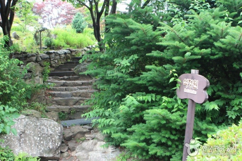 アチムゴヨ樹木園 (44/54)