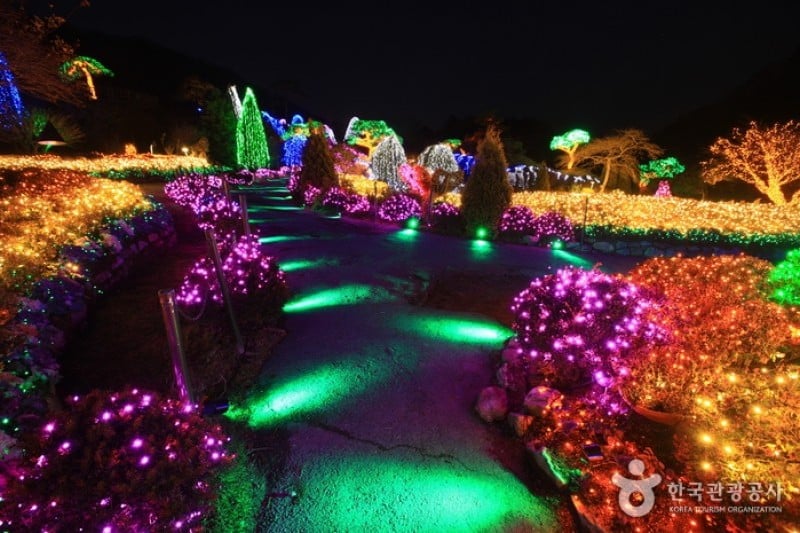 アチムゴヨ樹木園 (50/54)