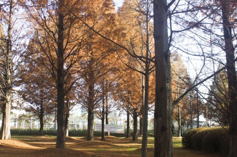 一山湖水公園 (16/26)