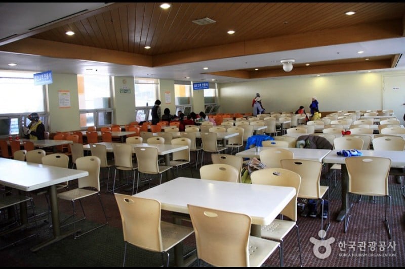 陽智パインリゾートスキー場 (4/8)