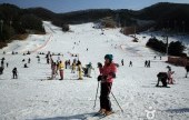陽智パインリゾートスキー場