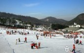 芝山フォレストリゾート