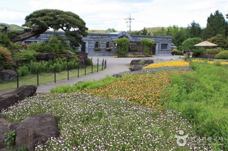 碧草池文化樹木園 (1/35)