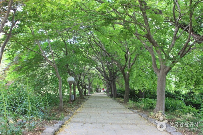碧草池文化樹木園 (2/35)