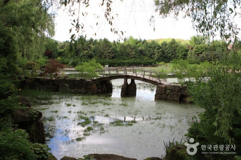 碧草池文化樹木園 (3/35)