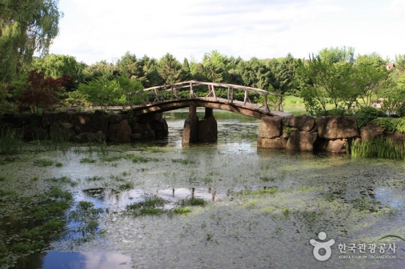 碧草池文化樹木園 (4/35)