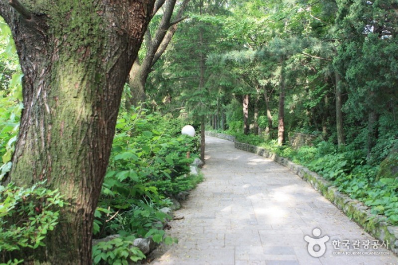 碧草池文化樹木園 (5/35)