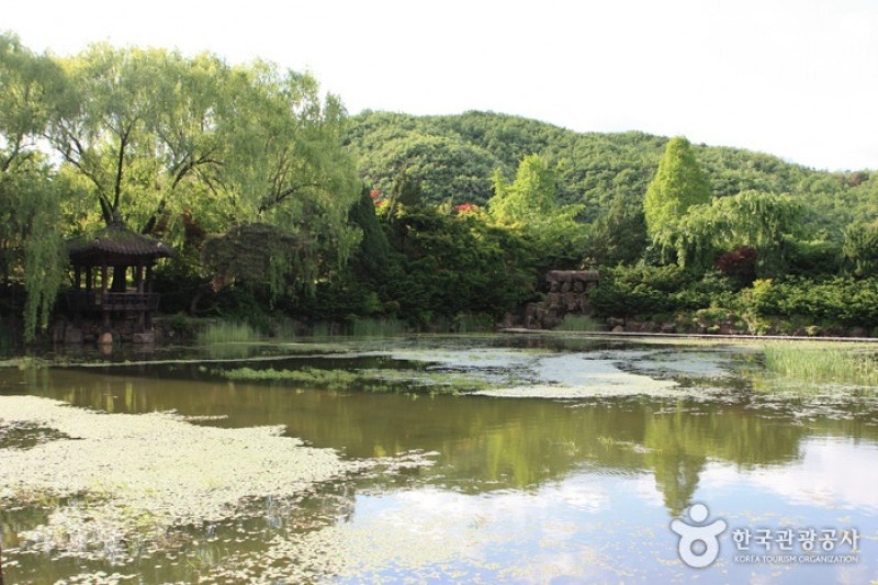 碧草池文化樹木園 (8/35)