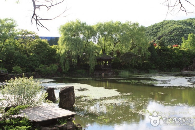 碧草池文化樹木園 (12/35)