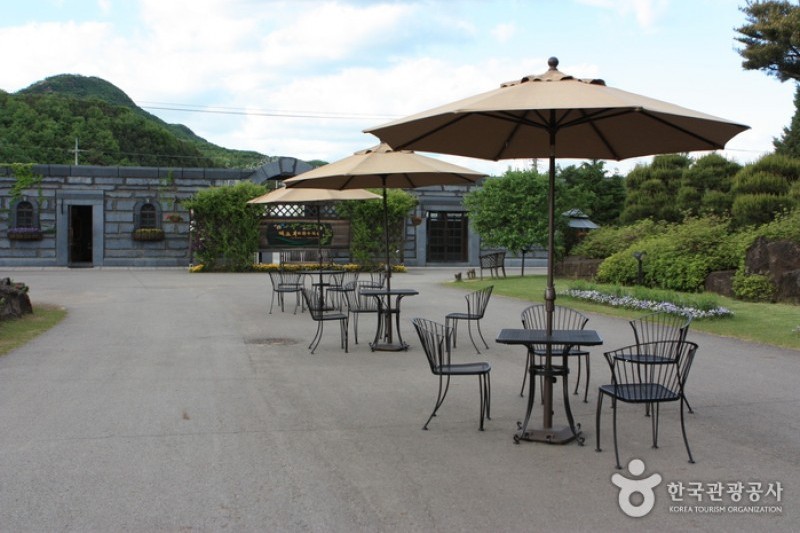 碧草池文化樹木園 (18/35)