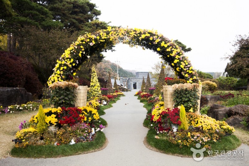 碧草池文化樹木園 (19/35)