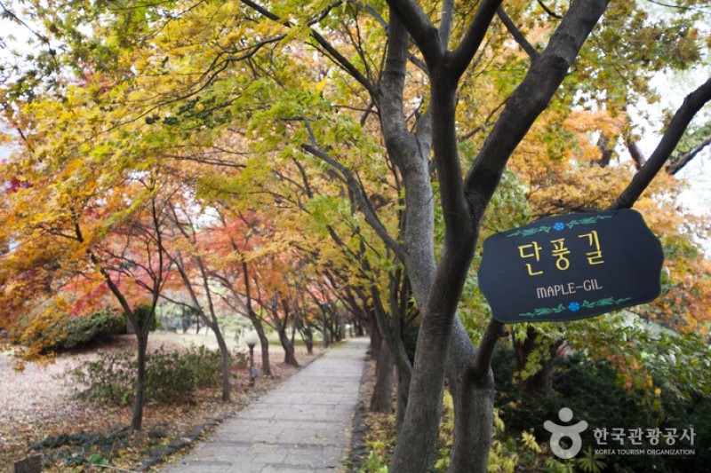 碧草池文化樹木園 (20/35)
