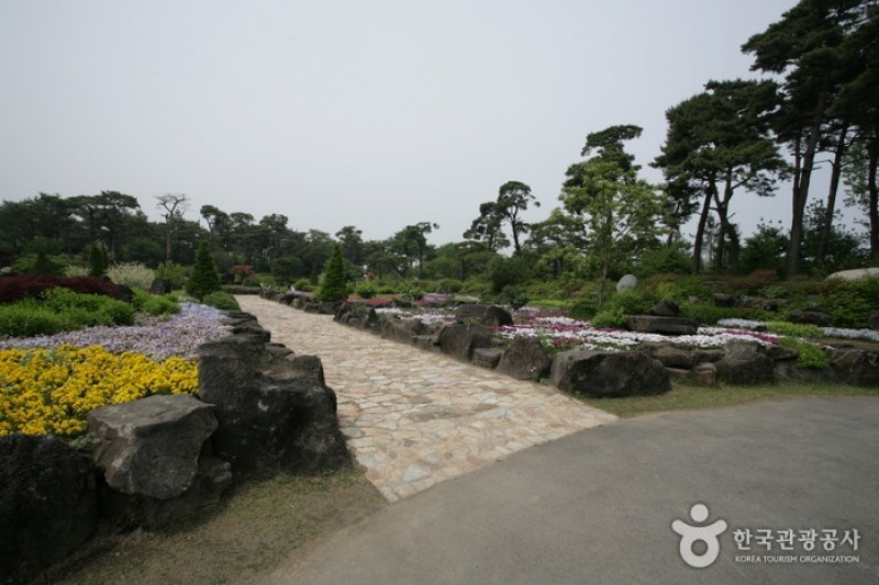 碧草池文化樹木園 (22/35)